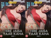 Tere Jaisa Yaar Kaha – Part 1 Episode 1